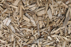 biomass boilers Dunipace